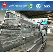 Silver Star Poultry Farm Layer Chicken Cage